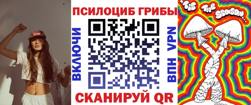 Псилоцибиновые грибы Cubensis  цена   Муром 